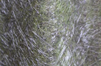 Lower Kilcott fibreglass roof work